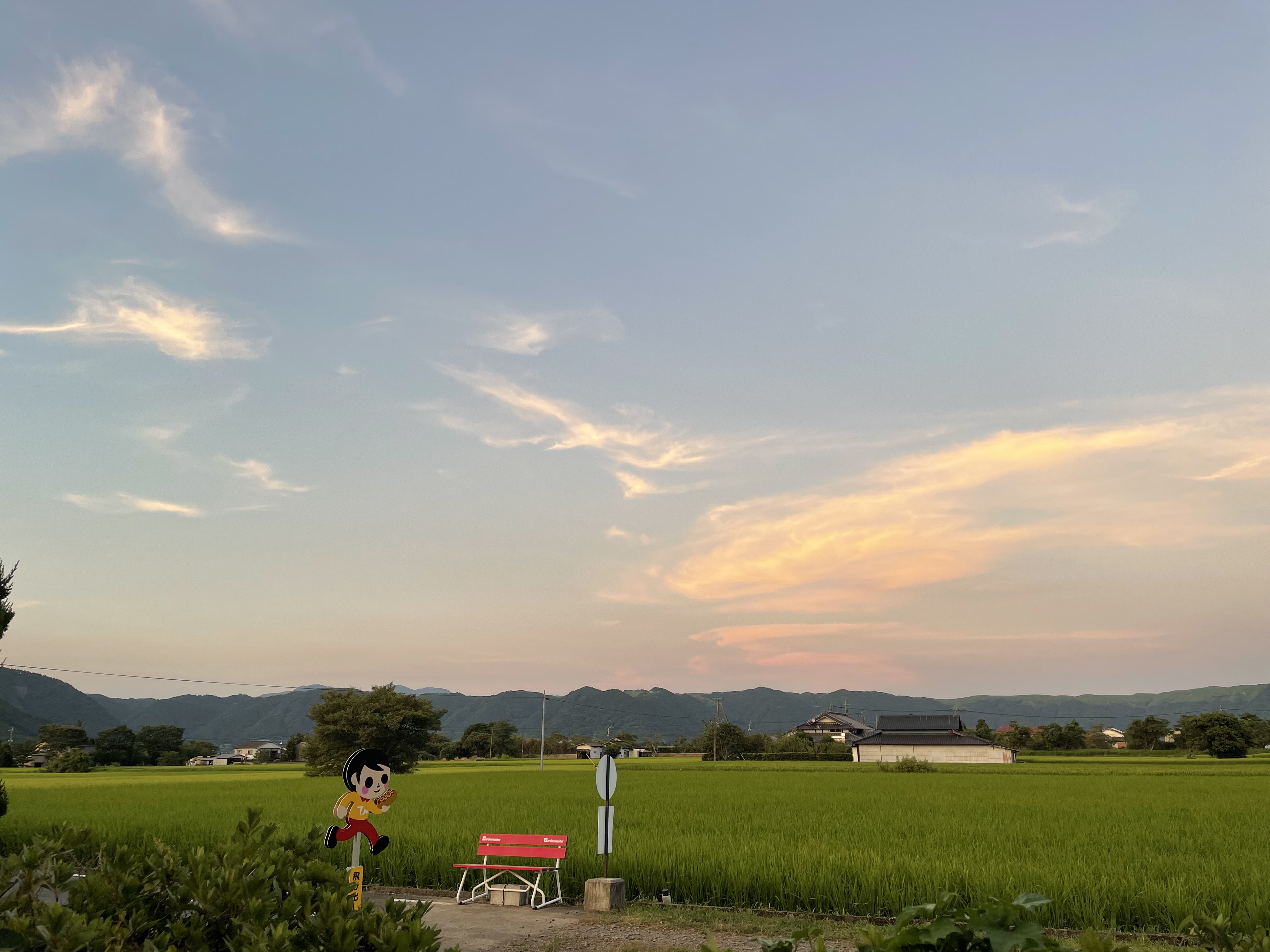 店の前に広がる田んぼと夕暮れの空。ひばりのマスコットと赤いベンチ。